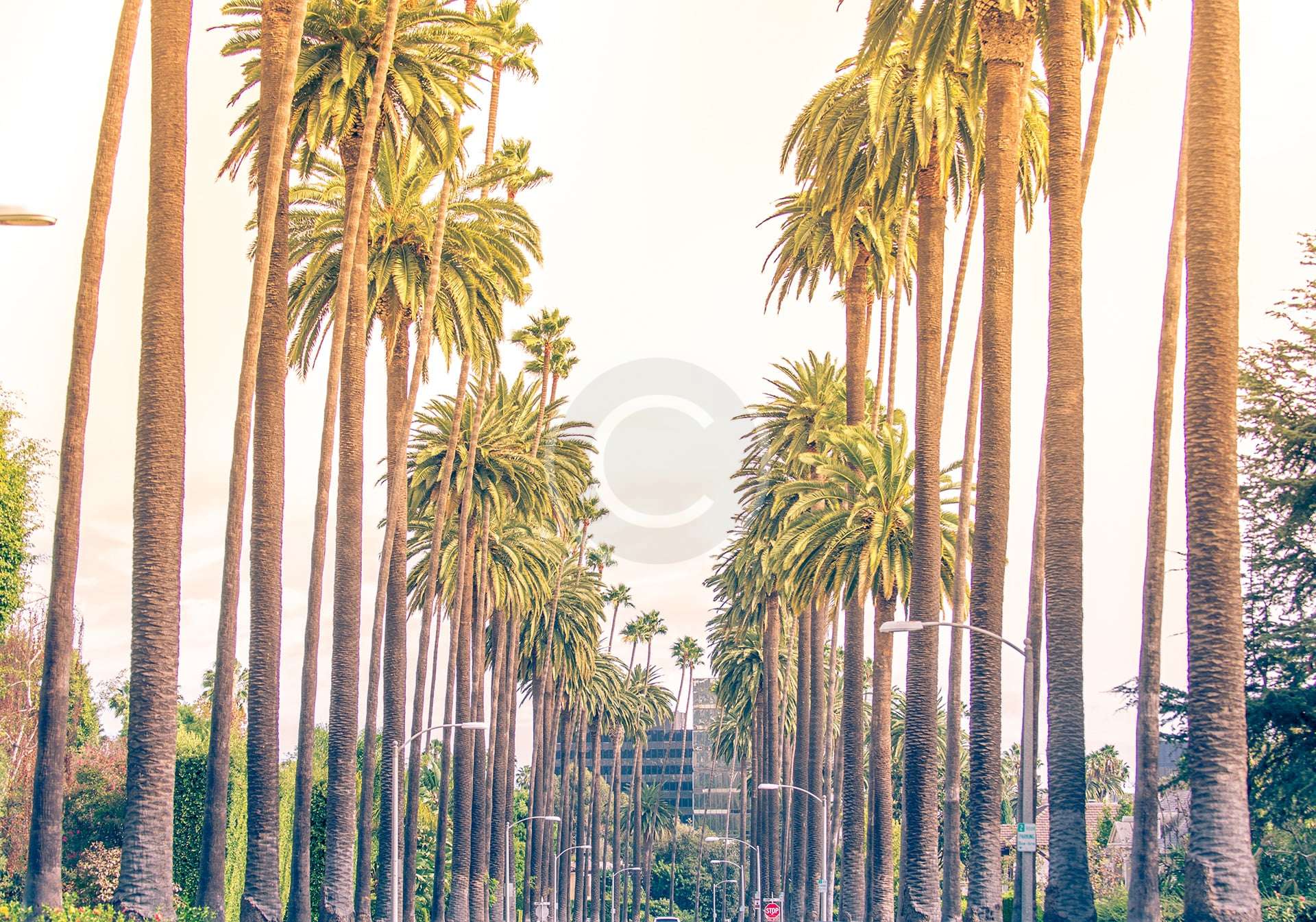 Santa Barbara Tour