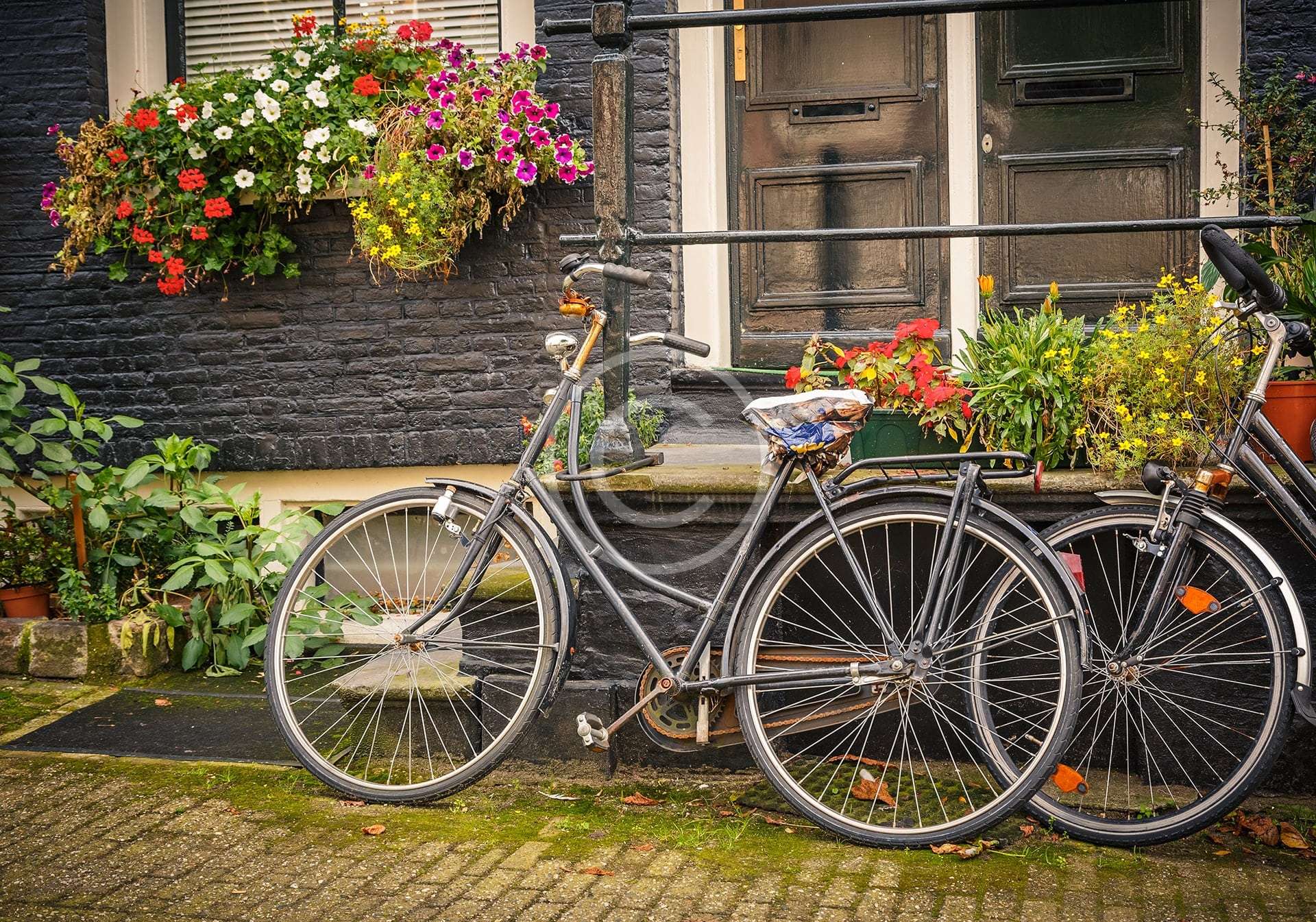 Private Walking Tour of Amsterdam