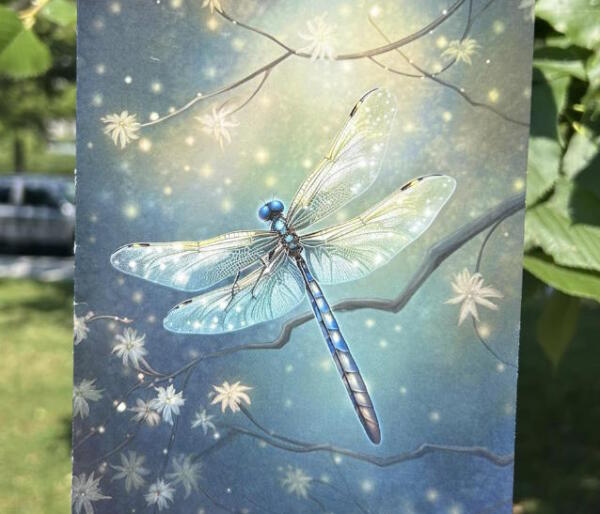 branden ariel tarot service